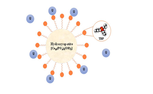 Efficient and rapid removal of radioactive