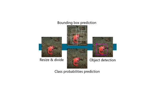 Robust Perception Using Artificial Intelligence