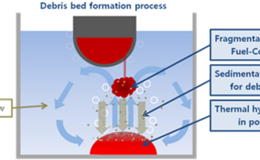 Debris bed formation
