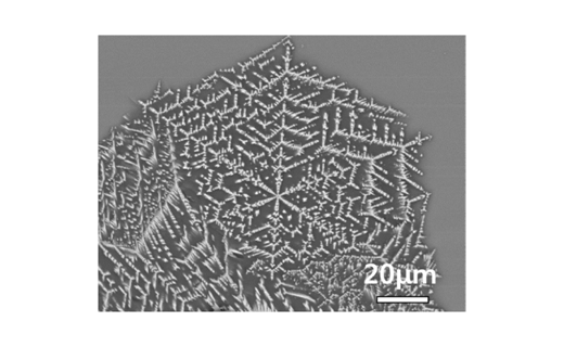 Glass-ceramic wasteforms for rear-earth