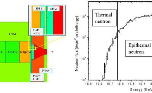 Boron Neutron Capture Therapy